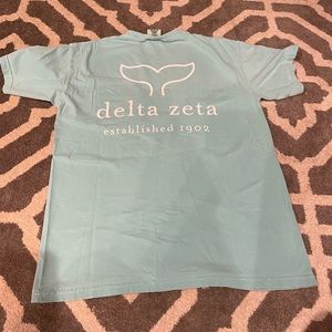 Comfort colors Delta Zeta tshirt! Size Medium 💙